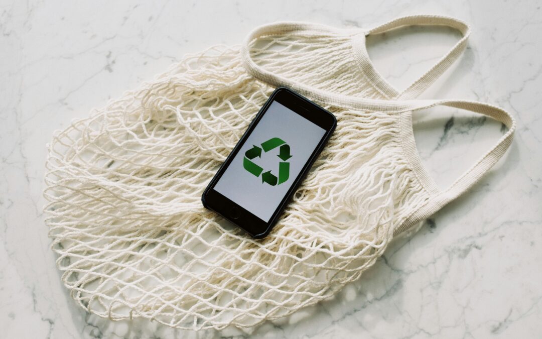 Image de marque RSE : en finir avec le greenwashing
